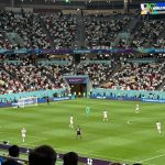 post_img_1783302476_8338